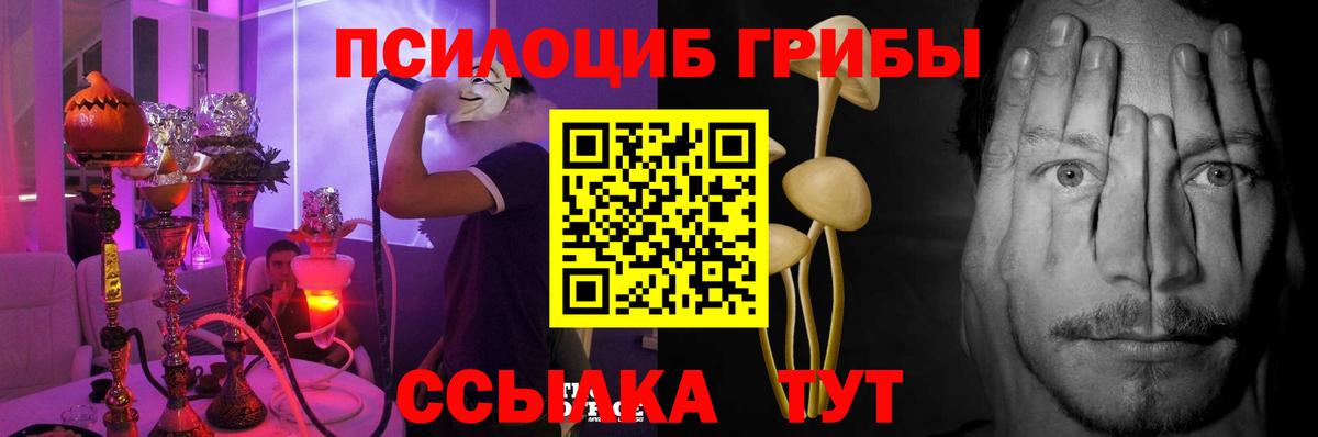Псилоцибиновые грибы MAGIC MUSHROOMS Кудрово