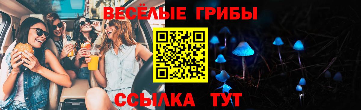 Псилоцибиновые грибы ЛСД  Вход с VPN  дарнет шоп  Кудрово 